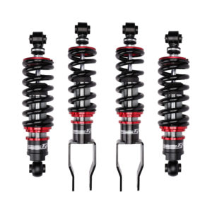 Audi R8 4s Coilovers